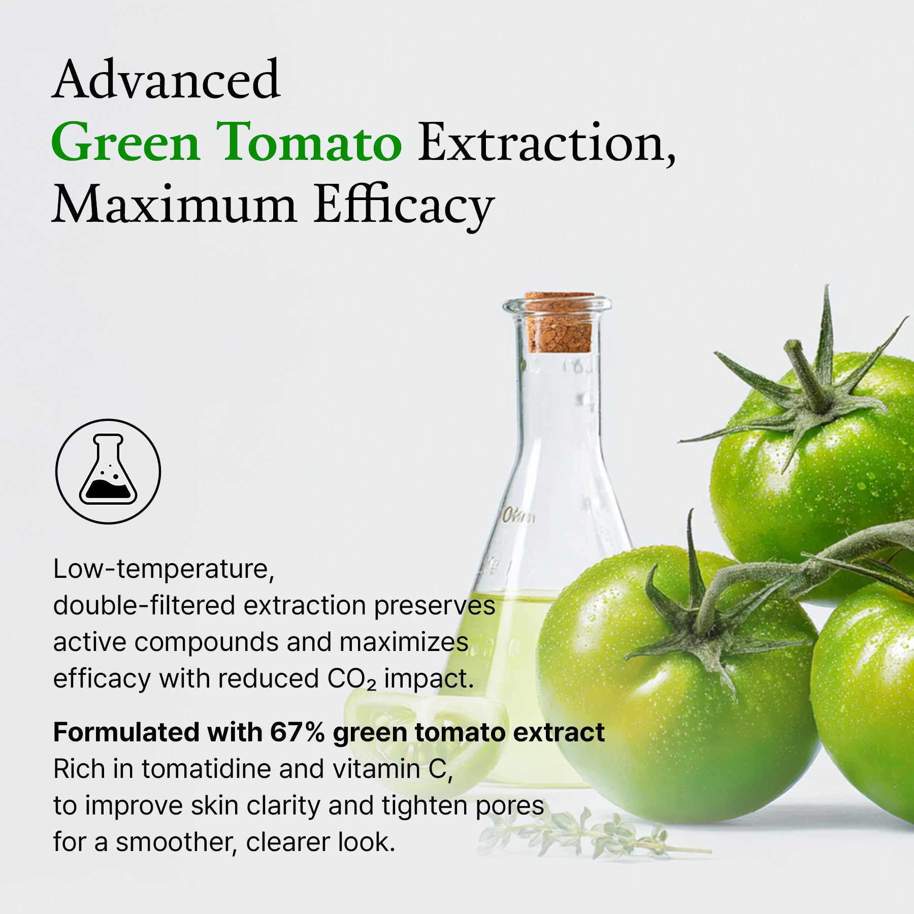 (Green Tomato) Clay Mask Cleanser