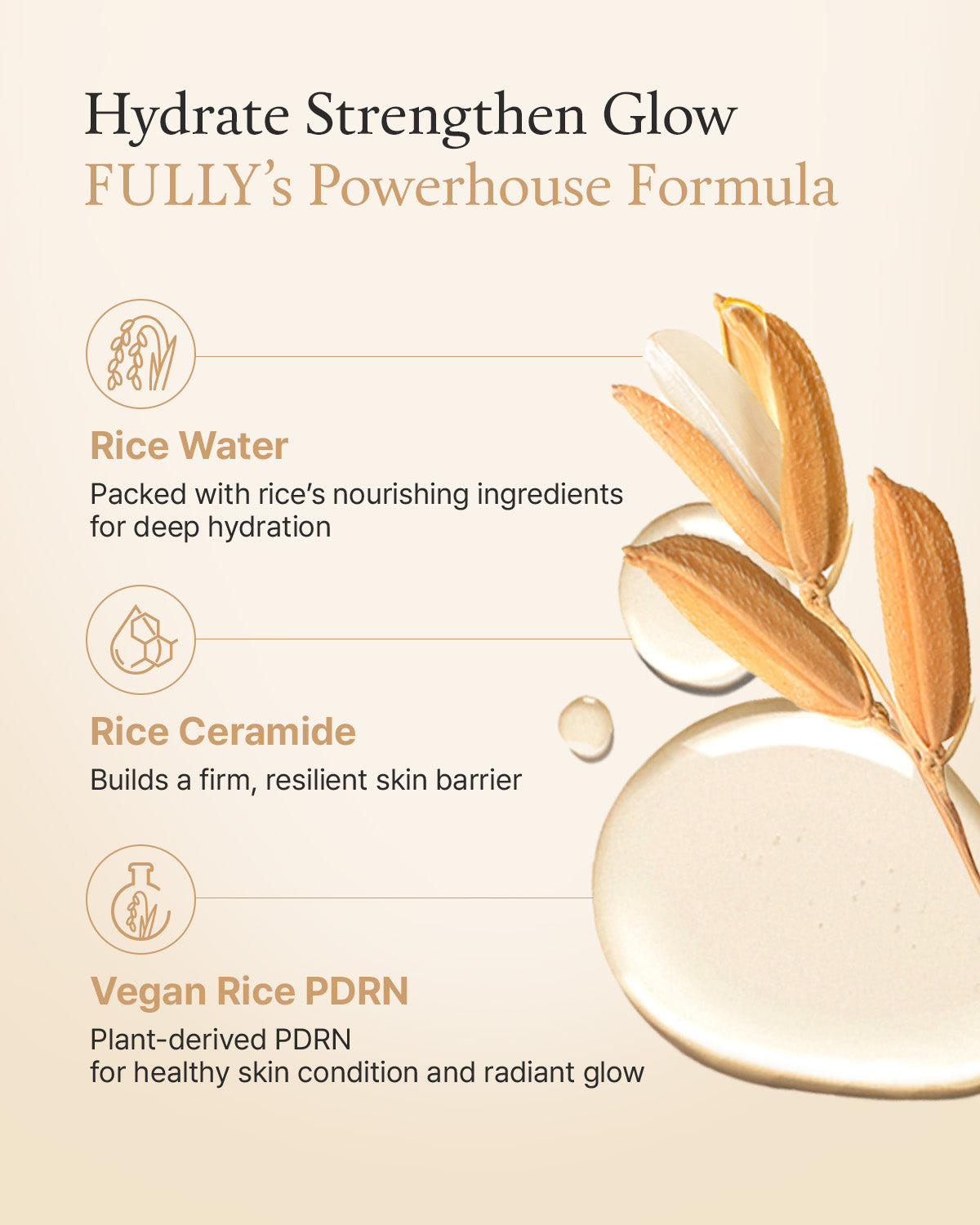 (Rice) Ceramide Capsule Cream