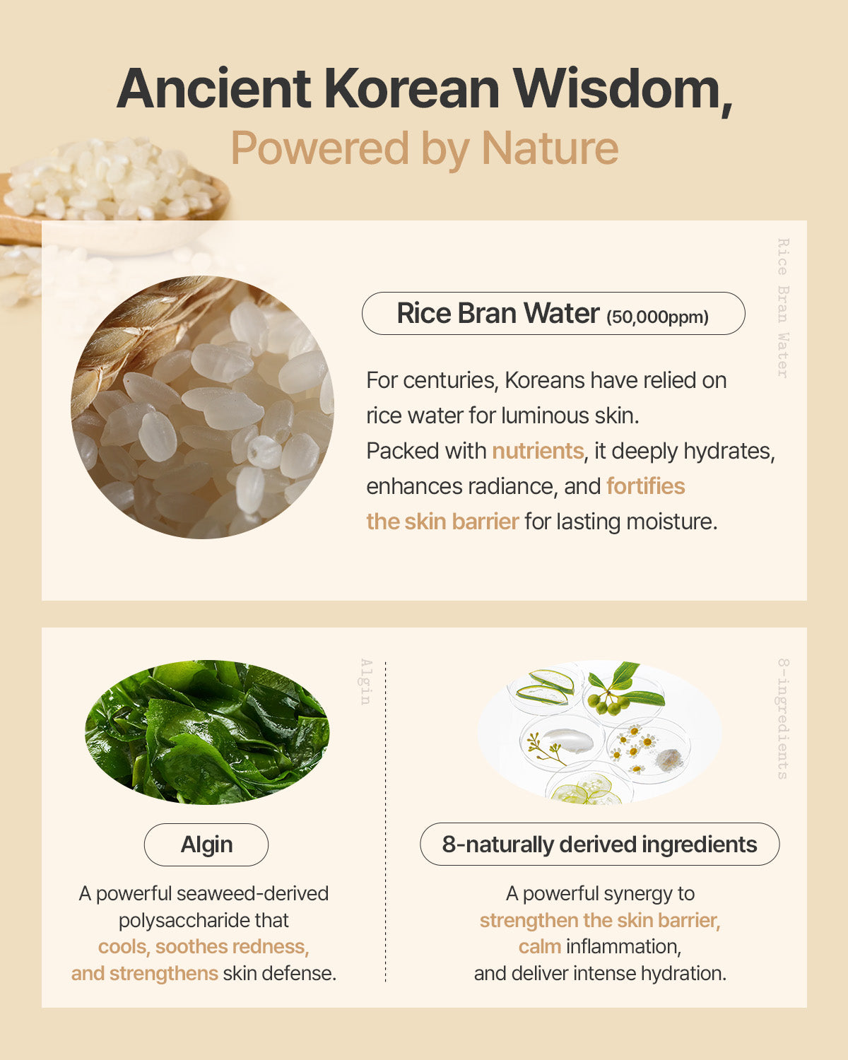 (Rice-Dough) Modeling Mask