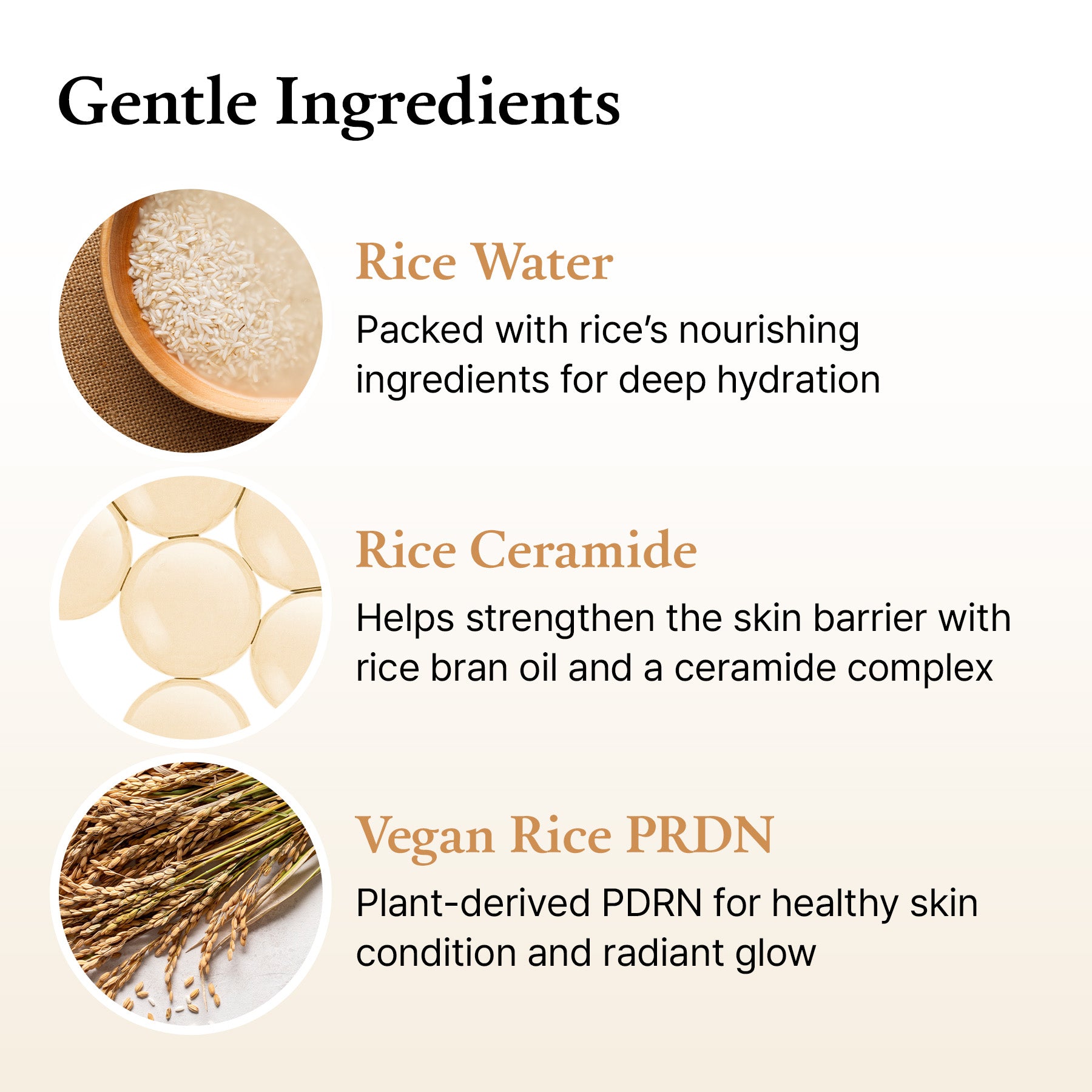[Amazon AU] Rice Ceramide Essence Toner_Prime_2026